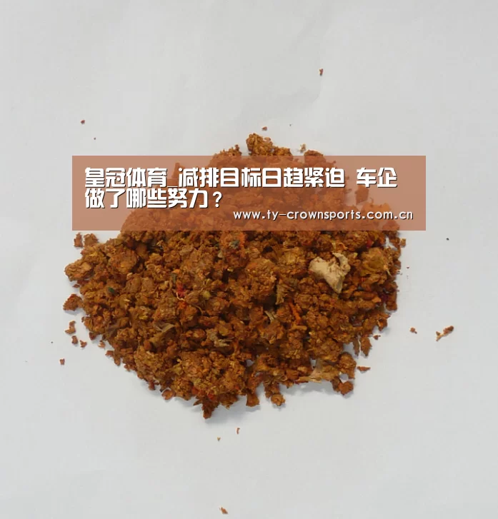 皇冠体育_减排目标日趋紧迫 车企做了哪些努力?(图3) 皇冠足球
