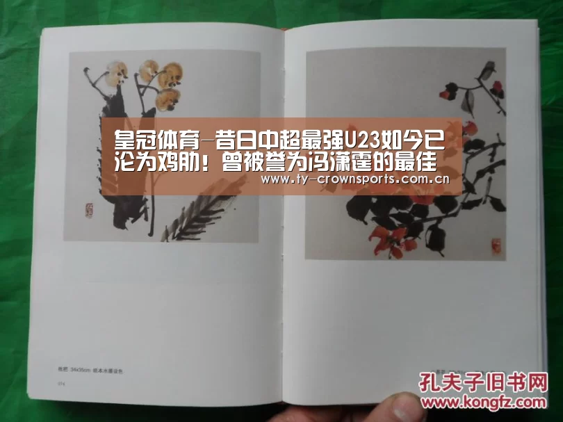 皇冠体育网址
