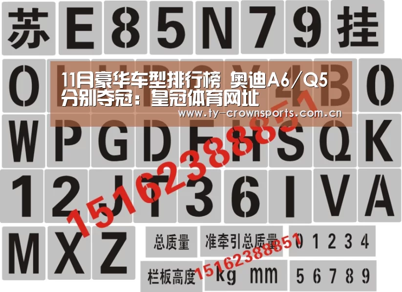 11月豪华车型排行榜 奥迪A6/Q5分别夺冠:皇冠体育网址(图1) 皇冠体育官网
