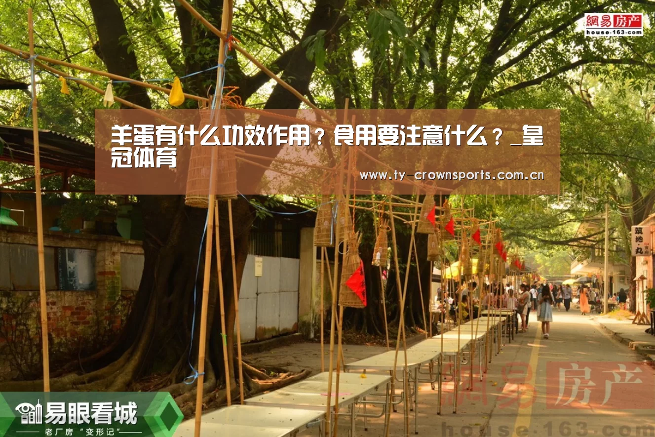 皇冠体育官网