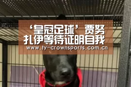 皇冠体育官网